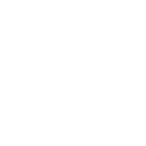 Maxus-logo-white
